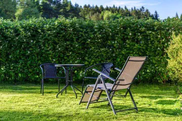 Hecke auf einer Grundstücksgrenze